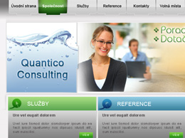 design www stránek pro Quantico constulting